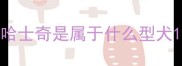 哈士奇是属于什么型犬