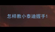 怎样教小泰迪握手