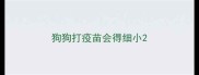 狗狗打疫苗会得细小