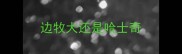 边牧大还是哈士奇