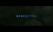 猫发禽在多少个月大