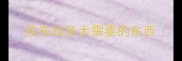 拉布拉多犬需要的东西