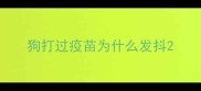 狗打过疫苗为什么发抖