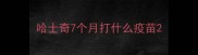 哈士奇7个月打什么疫苗