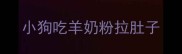 小狗吃羊奶粉拉肚子
