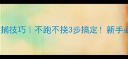 猫咪抓捕技巧不跑不挠3步搞定新手必看