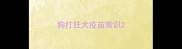 狗打狂犬疫苗常识