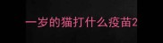 一岁的猫打什么疫苗