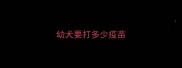 幼犬要打多少疫苗