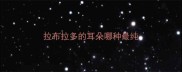 拉布拉多的耳朵哪种最纯