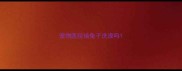 宠物医院给兔子洗澡吗