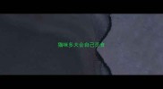 猫咪多大会自己觅食