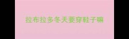 拉布拉多冬天要穿鞋子嘛