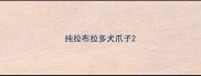 纯拉布拉多犬爪子