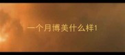 一个月博美什么样