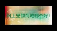 网上宠物商城哪个好