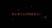 哈士奇什么时候能养大