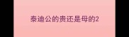 泰迪公的贵还是母的