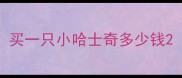 买一只小哈士奇多少钱