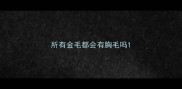 所有金毛都会有胸毛吗