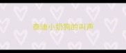 泰迪小奶狗的叫声