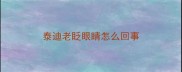 泰迪老眨眼睛怎么回事