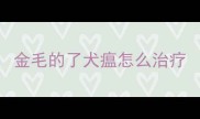 金毛的了犬瘟怎么治疗