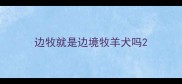 边牧就是边境牧羊犬吗