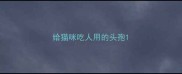 给猫咪吃人用的头孢
