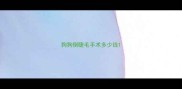 狗狗倒睫毛手术多少钱