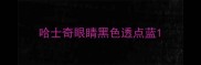 哈士奇眼睛黑色透点蓝