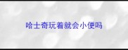 哈士奇玩着就会小便吗