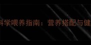 5岁半猫咪的科学喂养指南营养搭配与健康管理全攻略