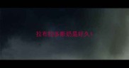 拉布拉多断奶是好久