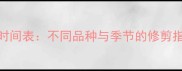 狗狗剪毛最佳时间表不同品种与季节的修剪指南及常见误区