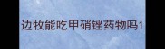 边牧能吃甲硝锉药物吗