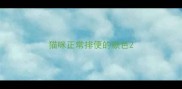 猫咪正常排便的颜色