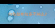 白色拉布拉多不纯么