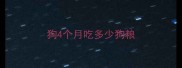 狗4个月吃多少狗粮