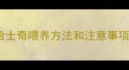 哈士奇喂养方法和注意事项