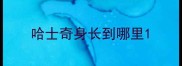哈士奇身长到哪里