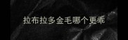 拉布拉多金毛哪个更乖