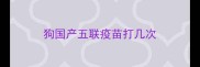 狗国产五联疫苗打几次