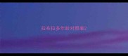拉布拉多年龄对照表