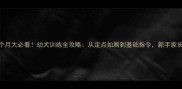 萨摩耶2个月大必看幼犬训练全攻略从定点如厕到基础指令新手家长速成指南