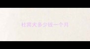 杜宾犬多少钱一个月