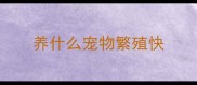 养什么宠物繁殖快