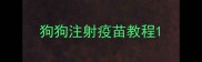 狗狗注射疫苗教程