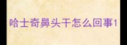 哈士奇鼻头干怎么回事