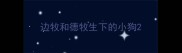 边牧和德牧生下的小狗